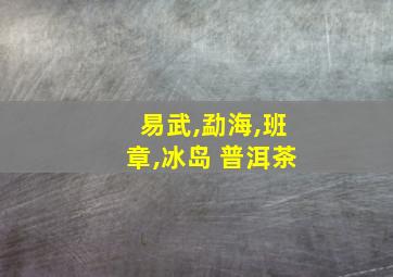 易武,勐海,班章,冰岛 普洱茶